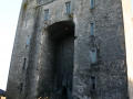 Medieval Banquet at Bunratty Castle, Bunratty, County Clare