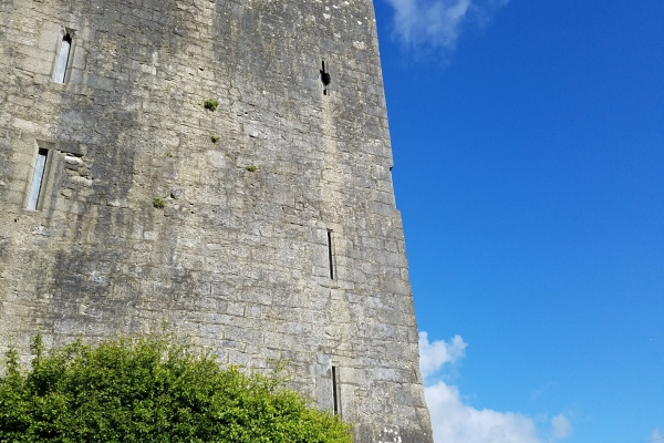The O'Dea Castle - 12 May 2018 (Photo supplied by Teri and Abraham Barton)